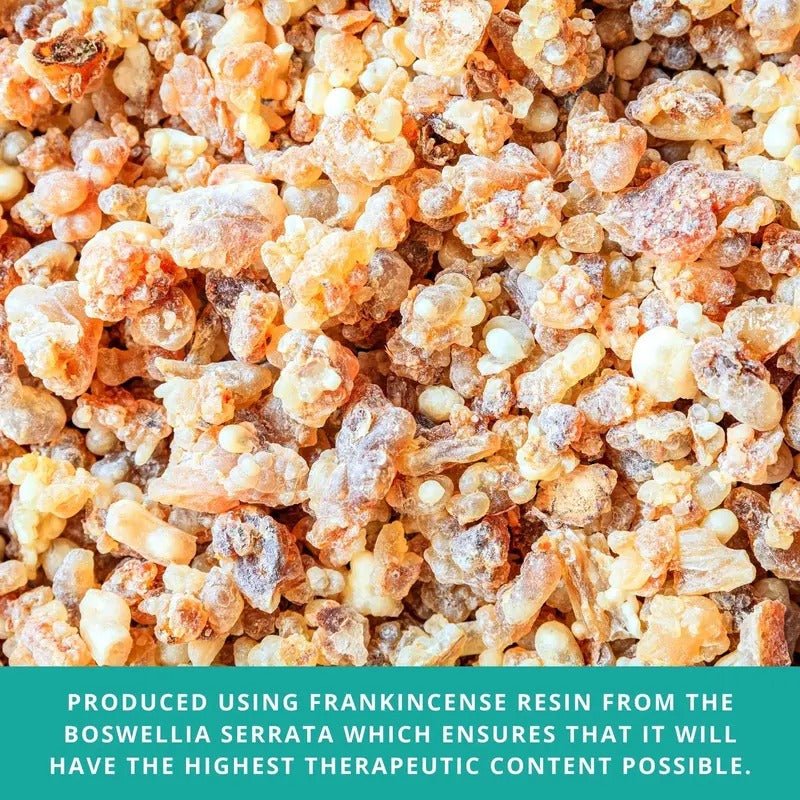 GuruNanda Frankincense Essential Oil – 2 Pack