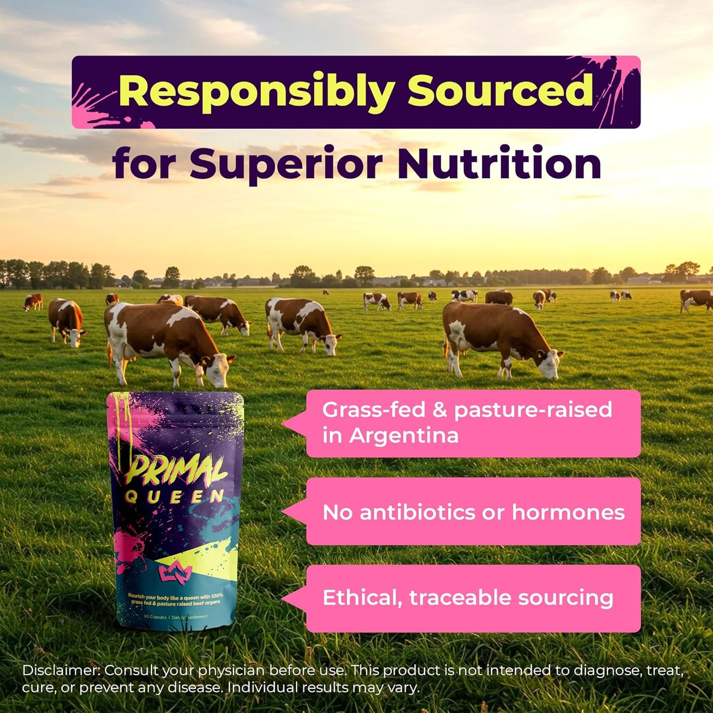 Primal Queen: Beef Organ Superfood Supplement for Women
