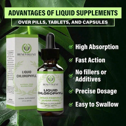 Liquid Chlorophyll Drops – Detox & Gut Health, 4-Month Supply
