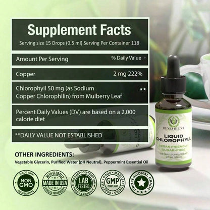 Liquid Chlorophyll Drops – Detox & Gut Health, 4-Month Supply