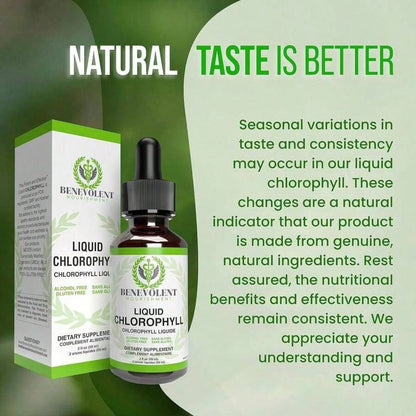 Liquid Chlorophyll Drops – Detox & Gut Health, 4-Month Supply