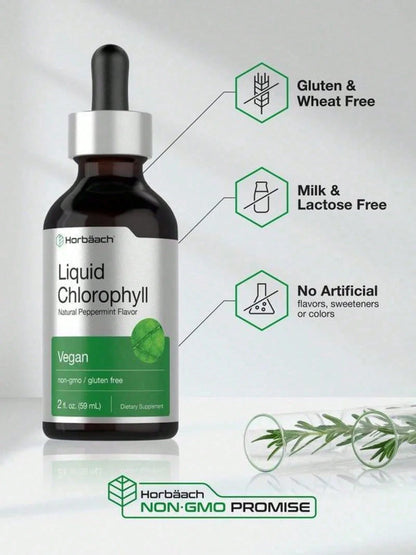 Horbäach Liquid Chlorophyll Drops| 2 Oz| Vegan, Non-GMO, And Gluten Free Formula| Natural Peppermint Flavor