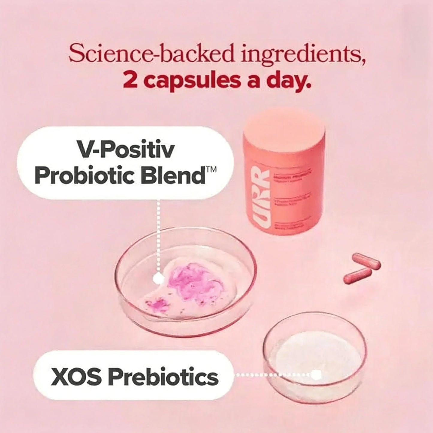 URR-Prebiotics & Lactobacillus Complex – Premium Probiotics For Women