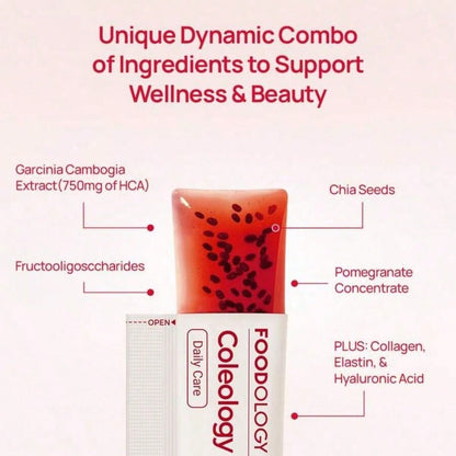 [FOODOLOGY] Coleology Cutting Jelly 10days - Garcinia Cambogia (HCA), Chia Seeds Collagen, Hyaluronic Acid, Pomegranate Flavored 8.81 Oz /10 Sticks