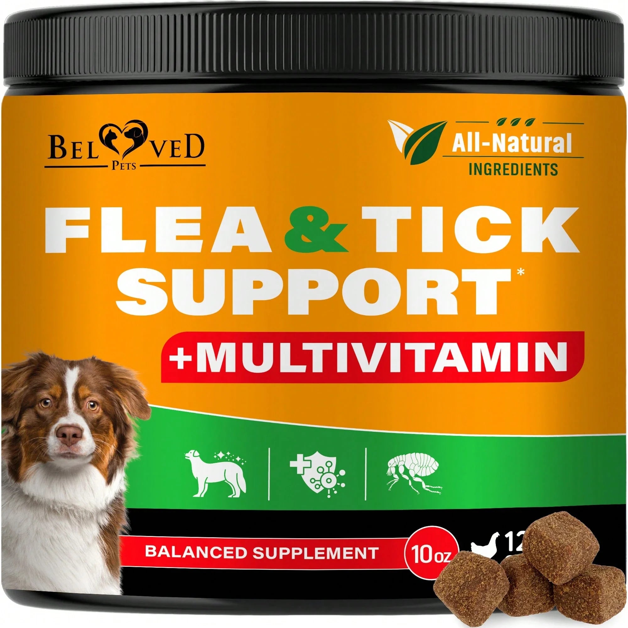 Beloved Pets Natural Skin & Coat Support + Multivitamin Complex Chicken Flavored Soft Chews For Dogs, 10-Oz