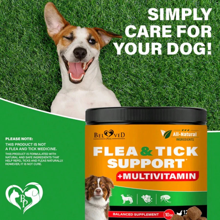 Beloved Pets Natural Skin & Coat Support + Multivitamin Complex Chicken Flavored Soft Chews For Dogs, 10-Oz