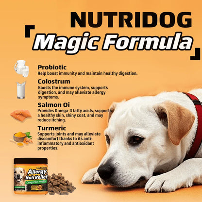Dog Anti-Allergy & Itching Supplement Food - Omega-3 & Colostrum Strong Barrier , VC + Zinc Anti-Itch Repair, 90 Soft Chews For Dogs Of All Stages